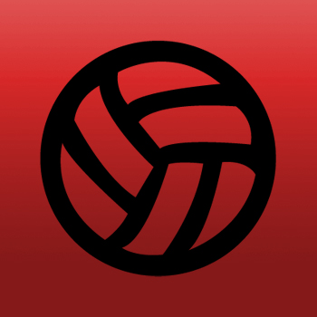 Volley Ball Iron on Decal
